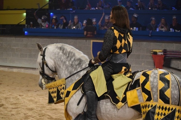 medieval times kissimmee yellow knight