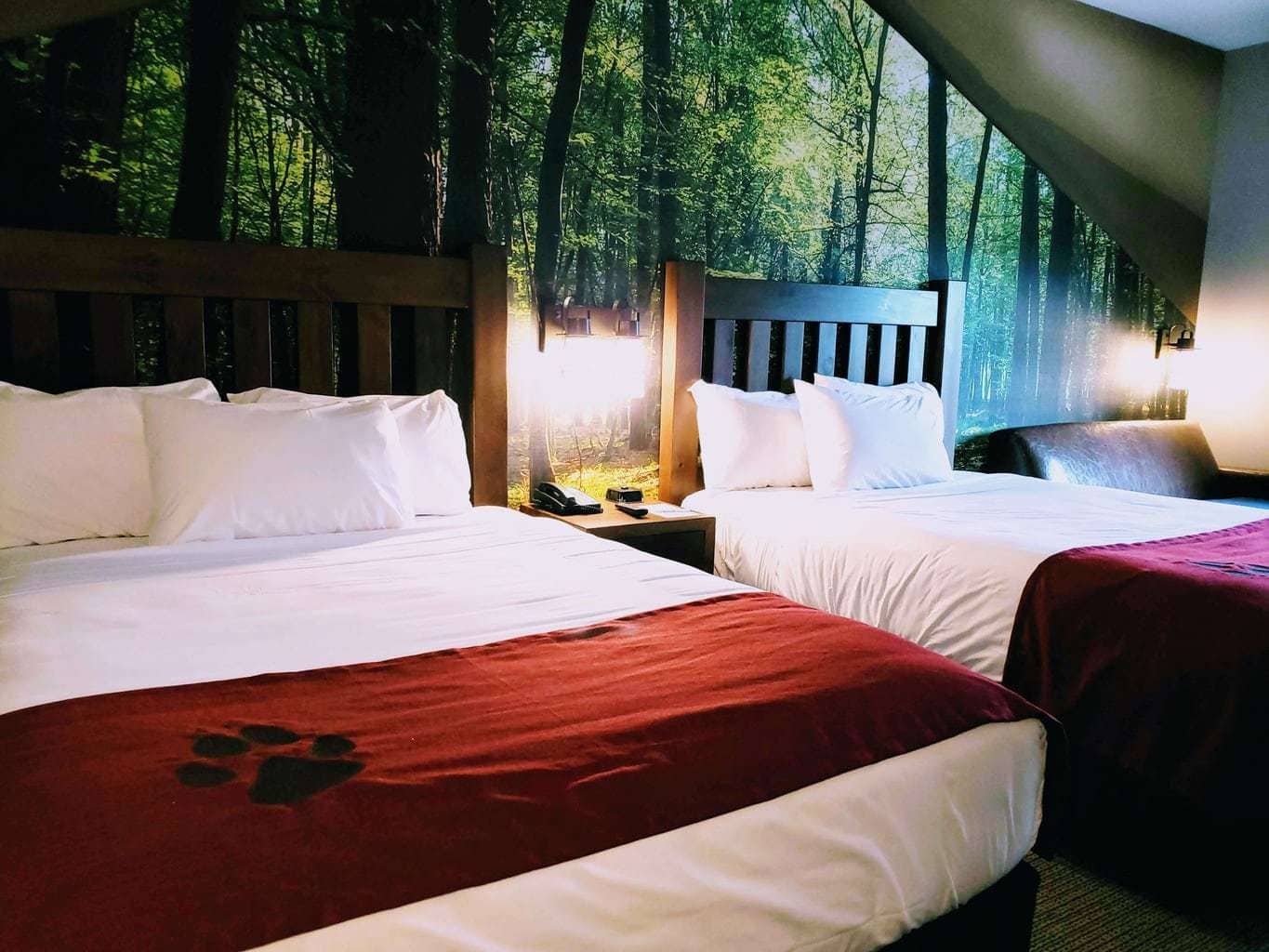 10 Great Tips To Save Money at The Great Wolf Lodge