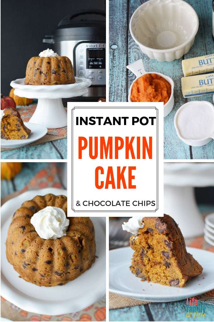 This Instant Pot Pumpkin Chocolate Chip Cake is something worth making. It’s pumpkin season and it only makes sense to make something this delicious this fall. https://www.lifefamilyfun.com/pumpkin-chocolate-chip-cake/