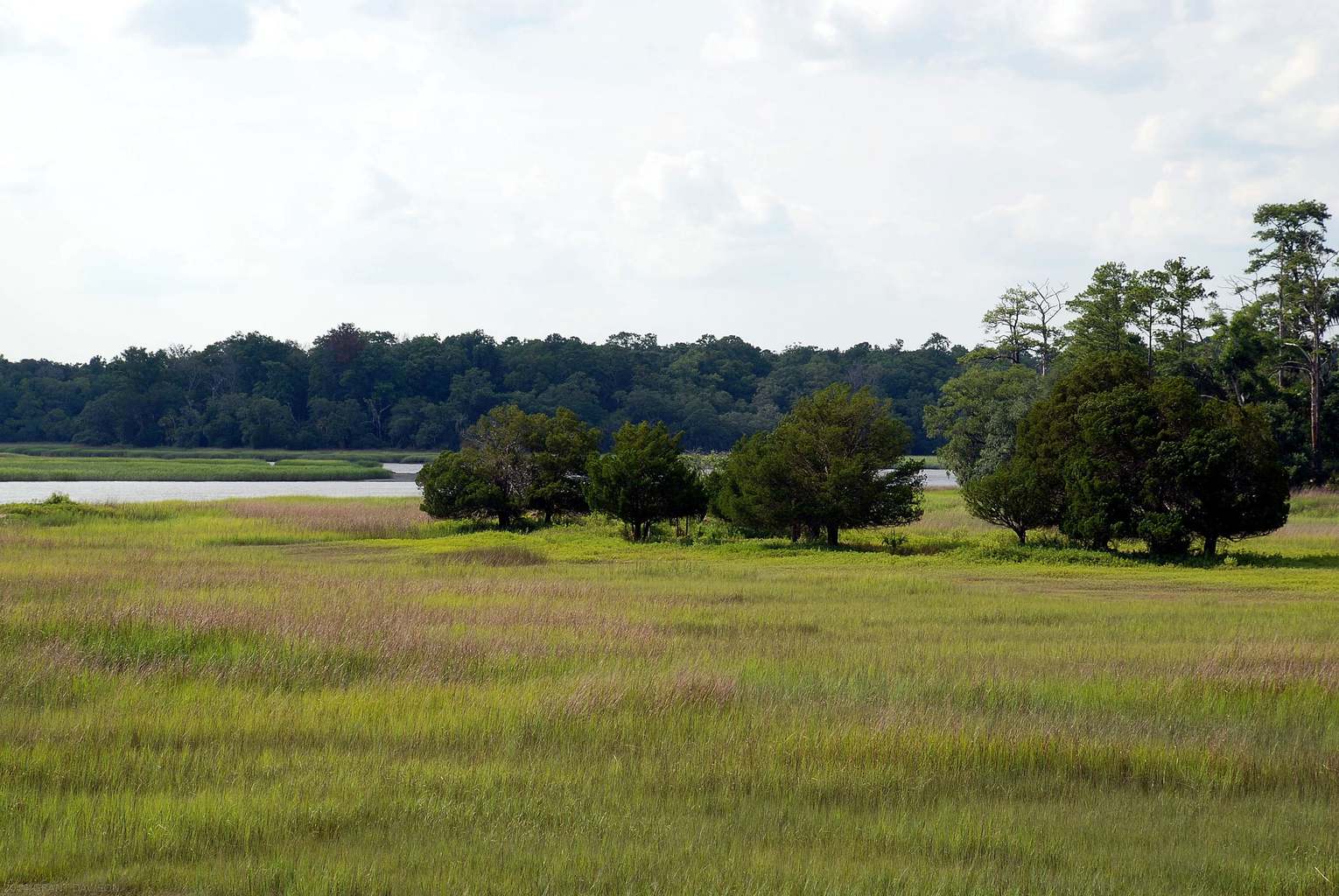 Skidaway Island State Park