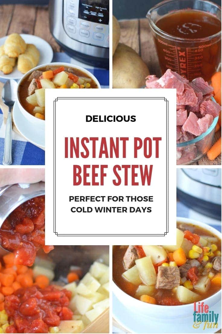 This Instant Pot Beef Stew Recipe uses basic ingredients like beef, potatoes, carrots, and more – This Instant Pot Beef Stew is a classic winter recipe perfect for those cold days. #InstantPotRecipe #InstantPotBeefStew https://www.lifefamilyfun.com/instant-pot-beef-stew/