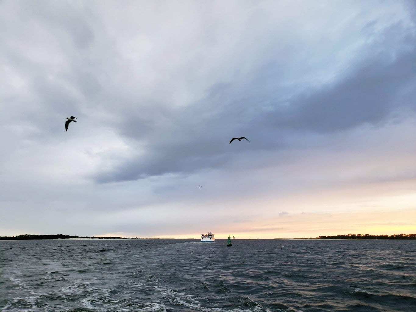 sunset & dolphin catamaran cruise in panama city beach