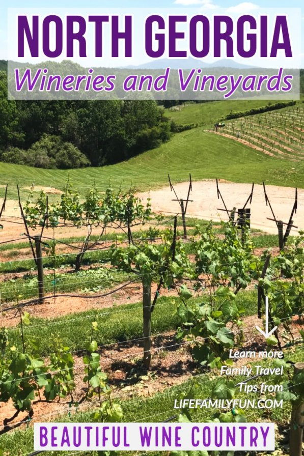 7 Beautiful North Wineries and Vineyards Wine Tastings Tour