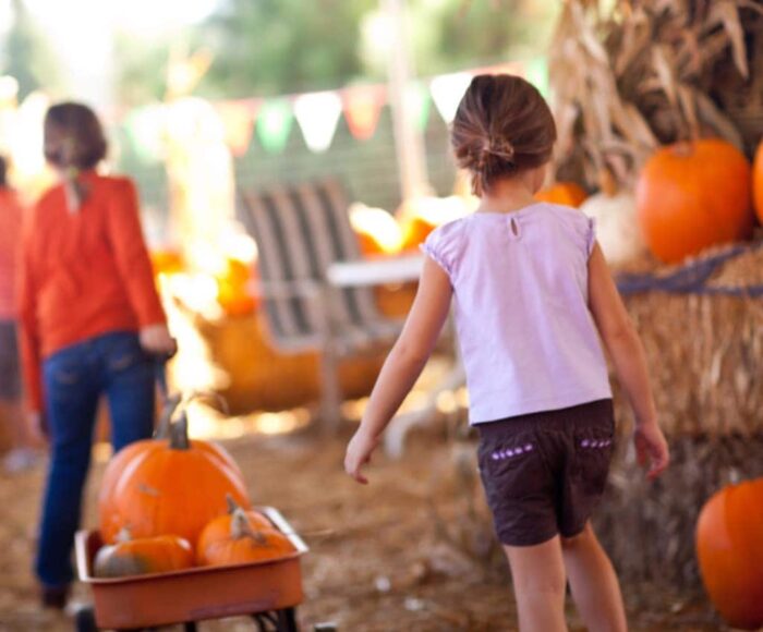 best pumpkin patches in georgia