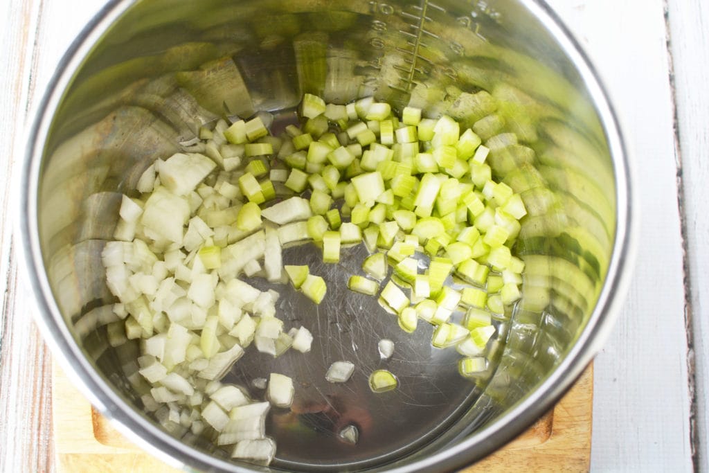Instant Pot Chicken Noodle Soup