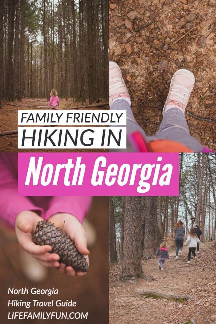 7 Family Friendly Hiking Trails To Explore in North Georgia