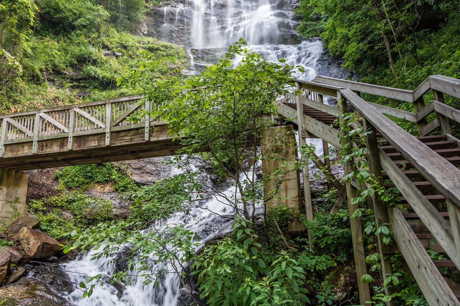 7 Family Friendly Hiking Trails To Explore in North Georgia