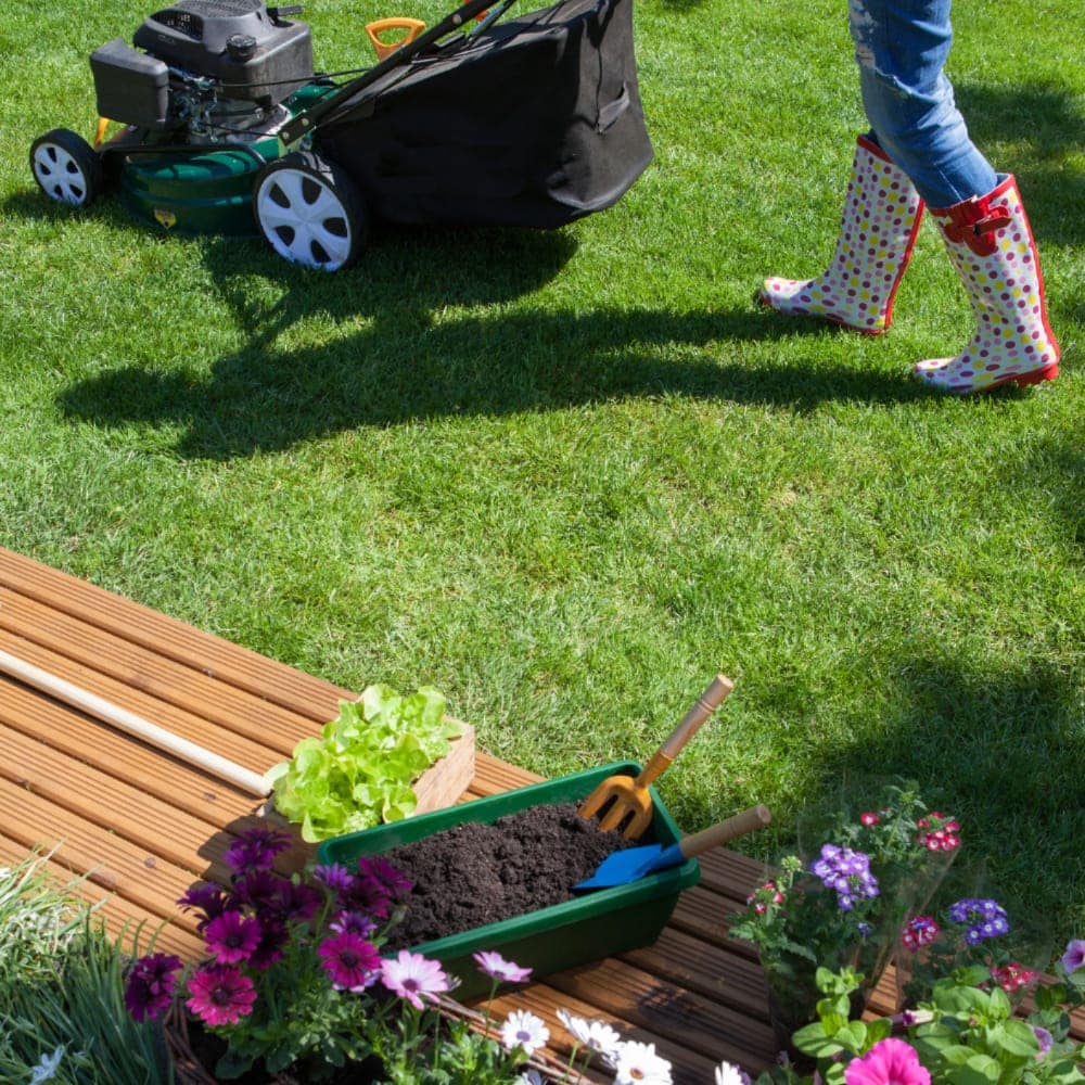 5 Simple Ways To Prepare Your Lawn For The Summer