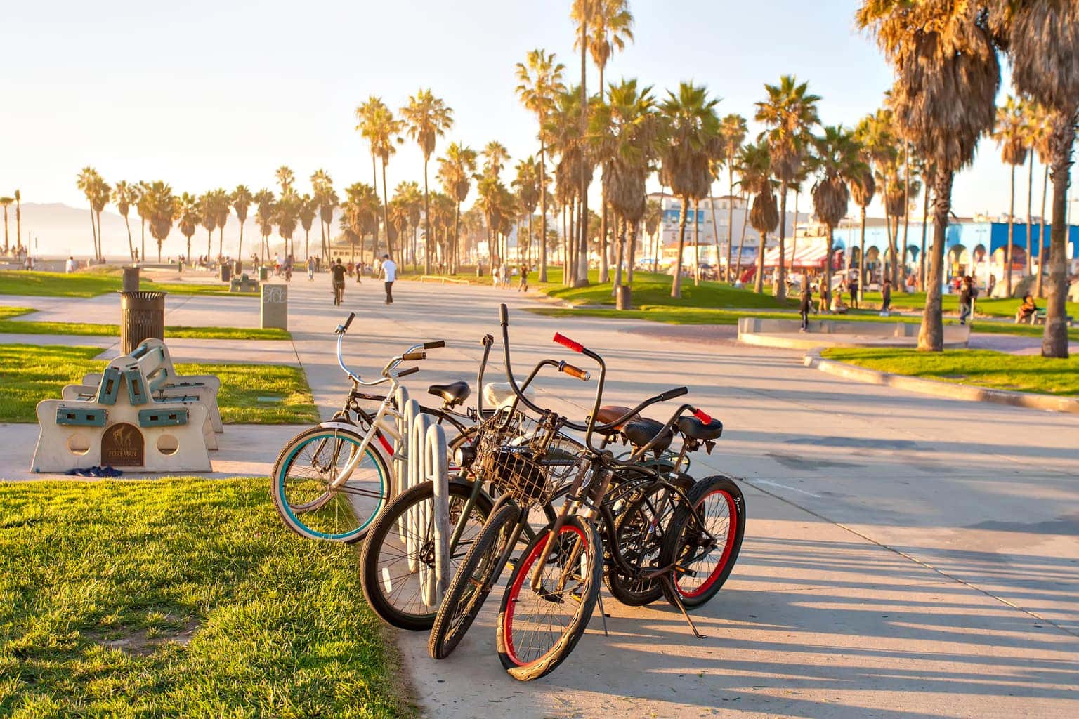 Venice Beach in Los Angeles California