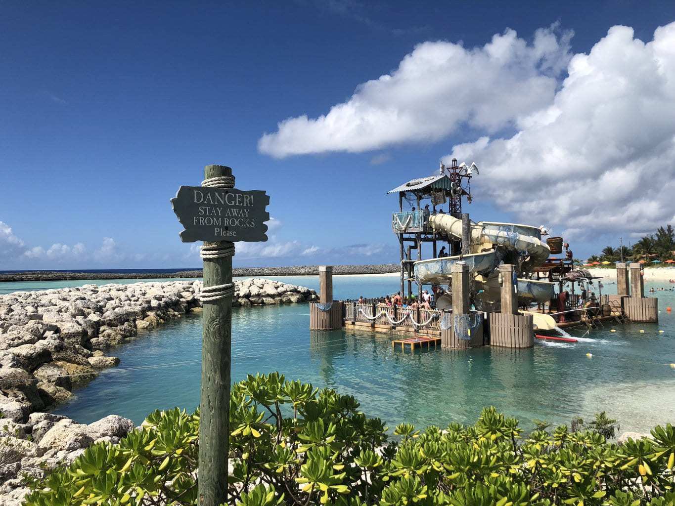 Pelican Plunge