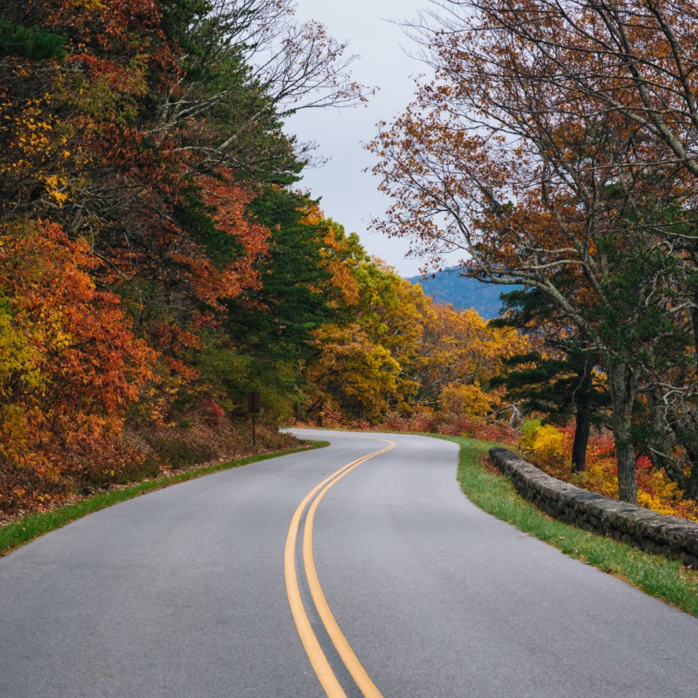 Family Thanksgiving Traditions plus Holiday Road Trip Safety Tips