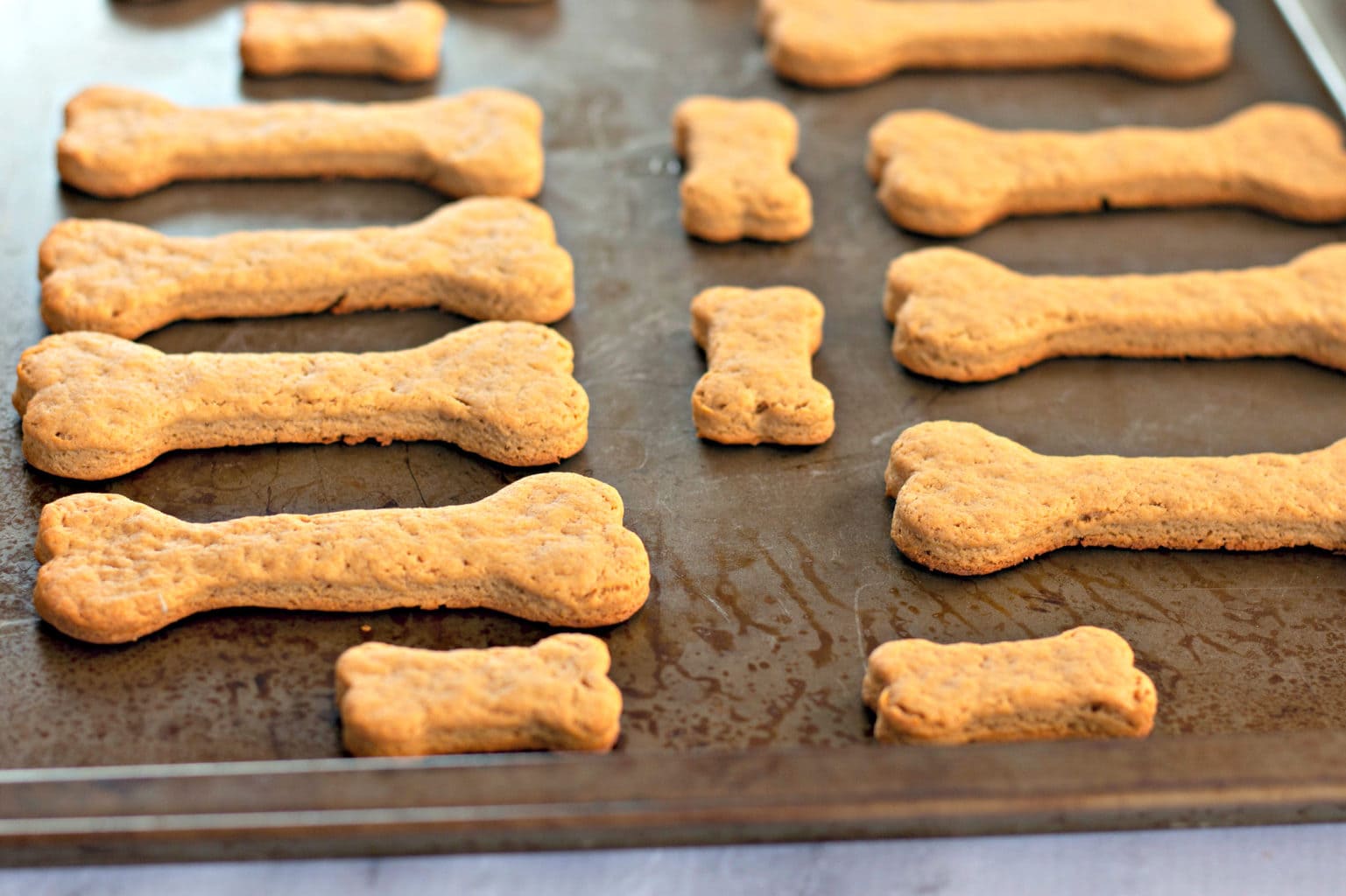 Homemade Dog Treats Dog Treat Recipe Made With Only 5 Ingredients!