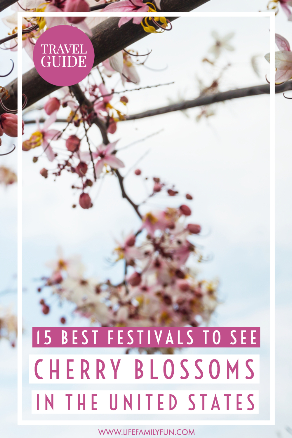 15 Best Cherry Blossom Festivals in the United States