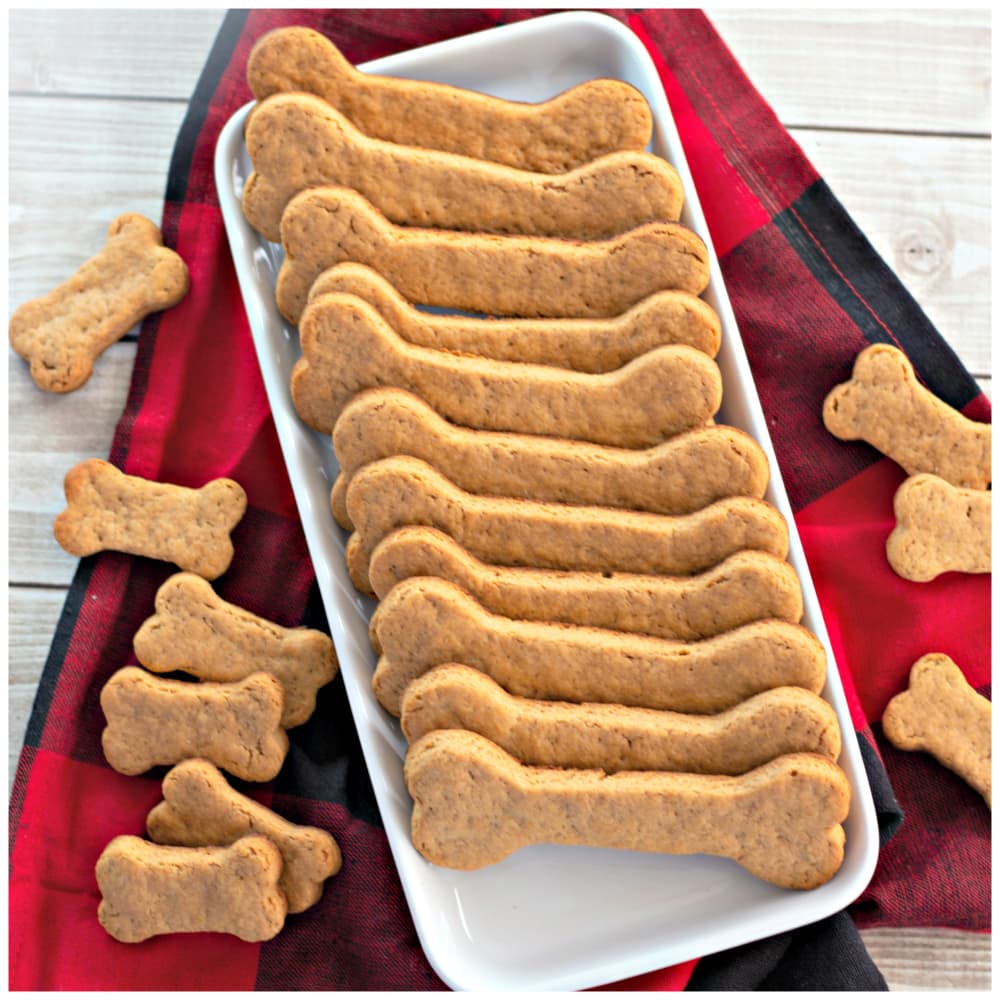 Safe Homemade Dog Treat Recipes