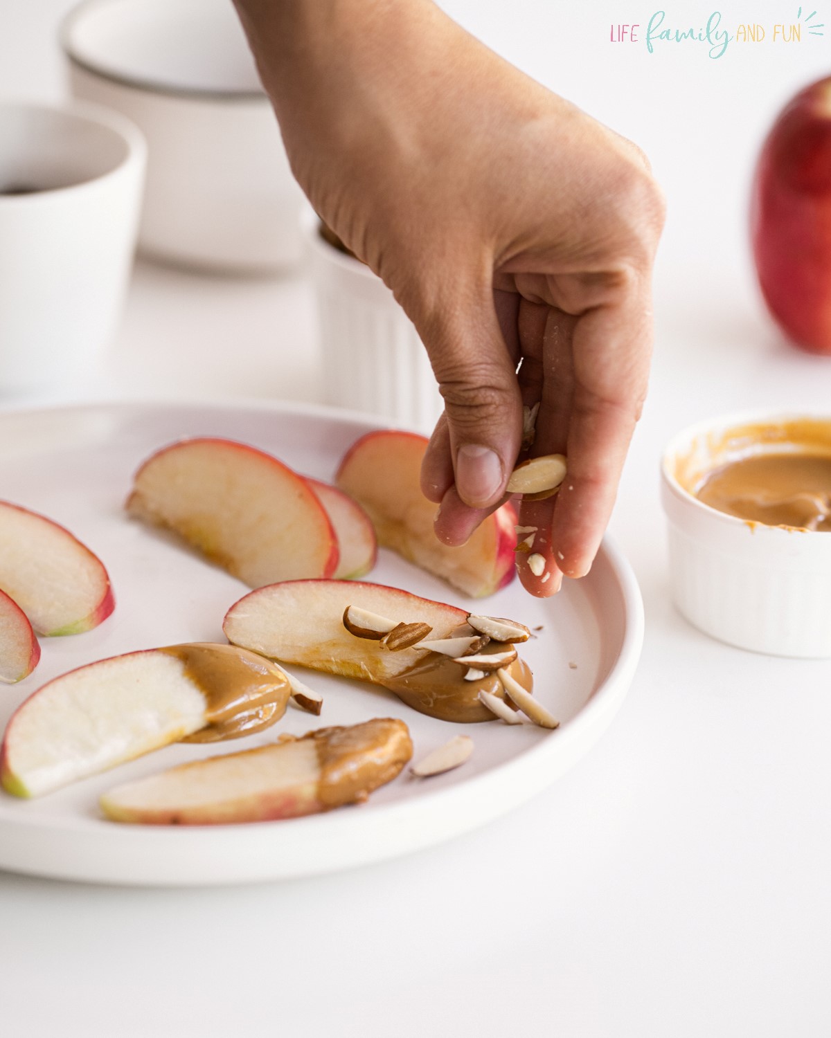 Apple Slices with Peanut Butter Dip Easy And Healthy Snacks