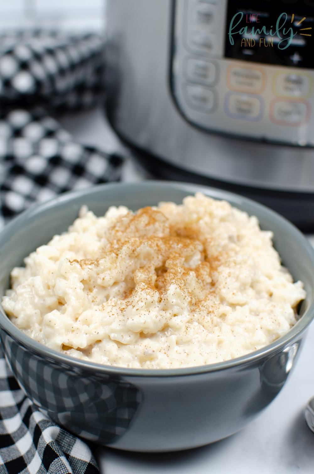 Instant Pot Rice Pudding Easy Recipe