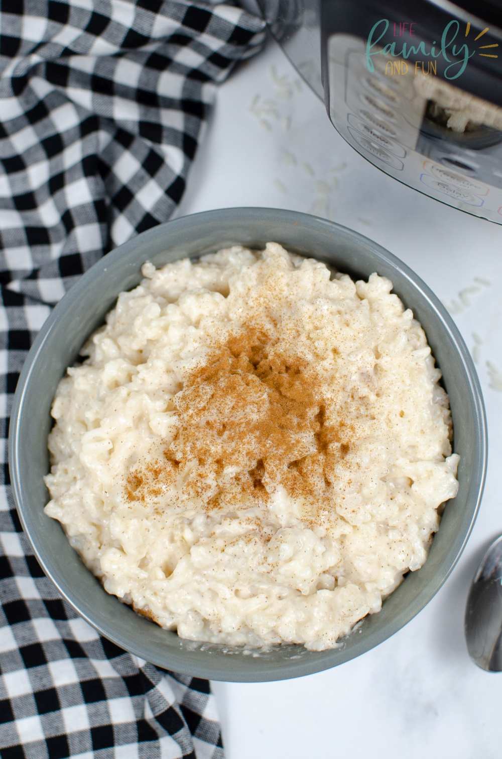 Instant Pot Rice Pudding Easy Recipe