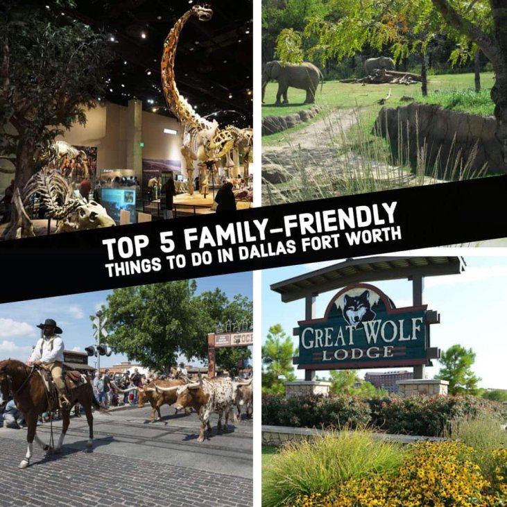 things to do in dallas fort worth